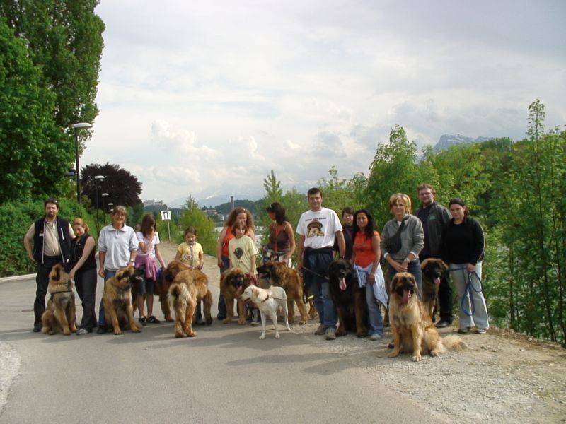 Salzburg Clubschau Mai 06 010 